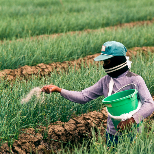 Effects of Climate Change on Agriculture in Jamaica