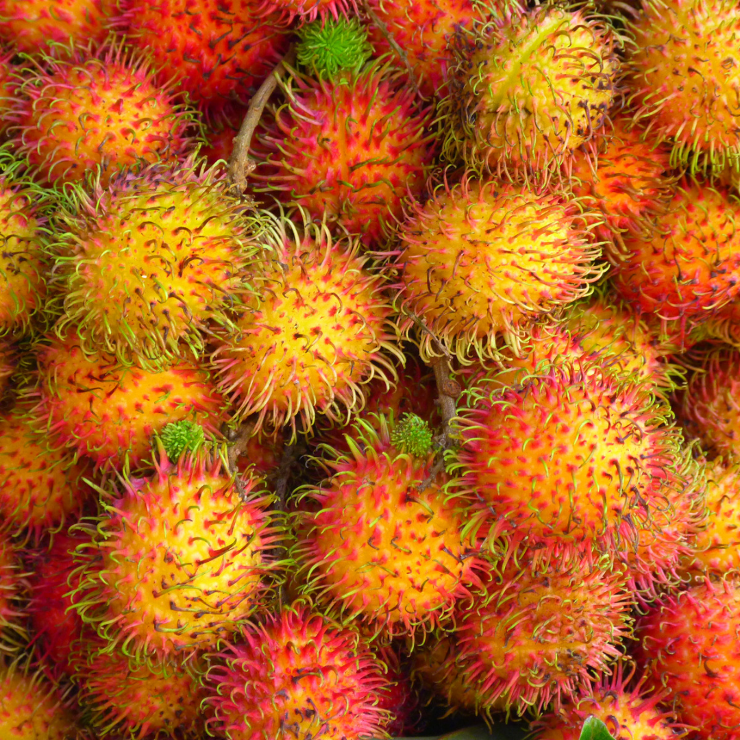 Rambutan