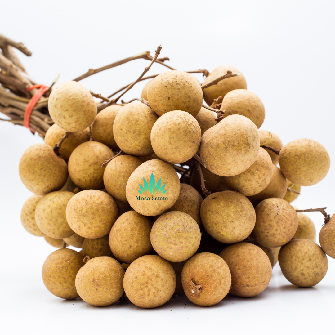 Longan - Mosa Estate