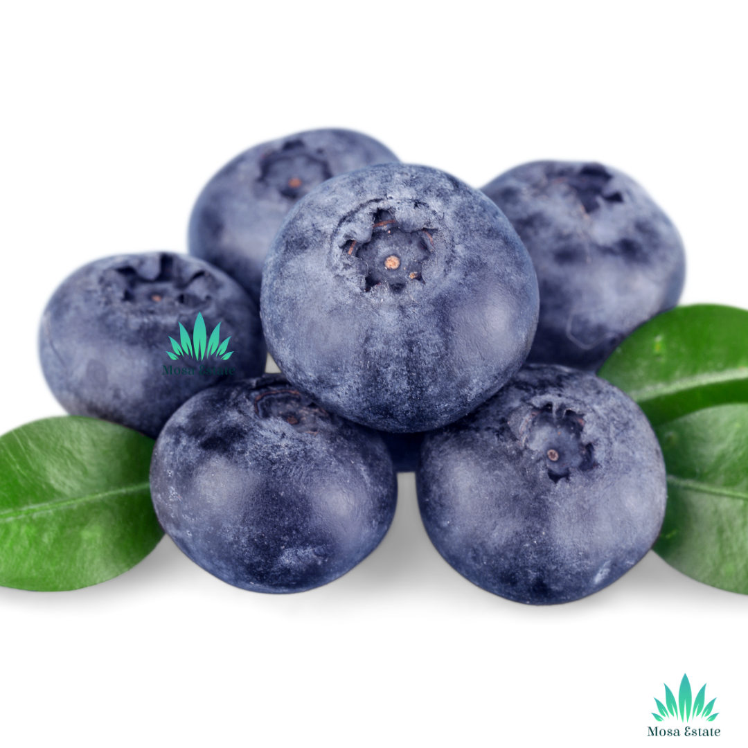 Blueberries - Mosa Estate