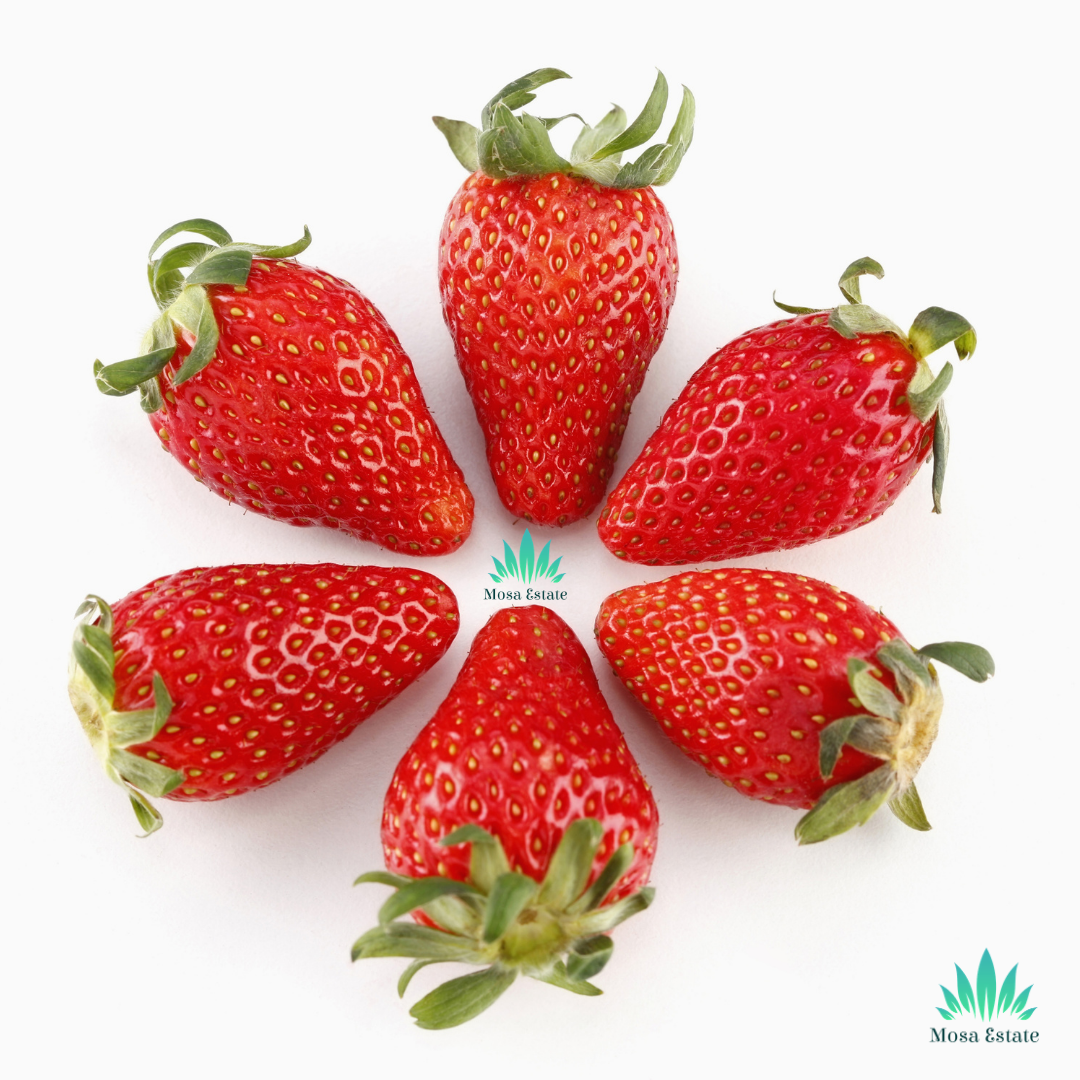 Strawberries - Mosa Estate
