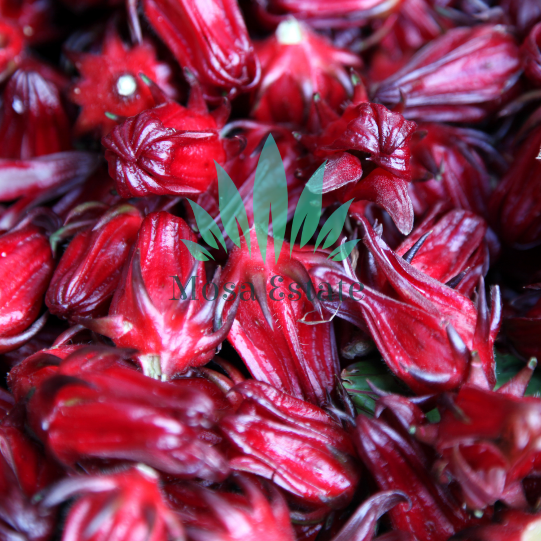 Sorrel - Mosa Estate