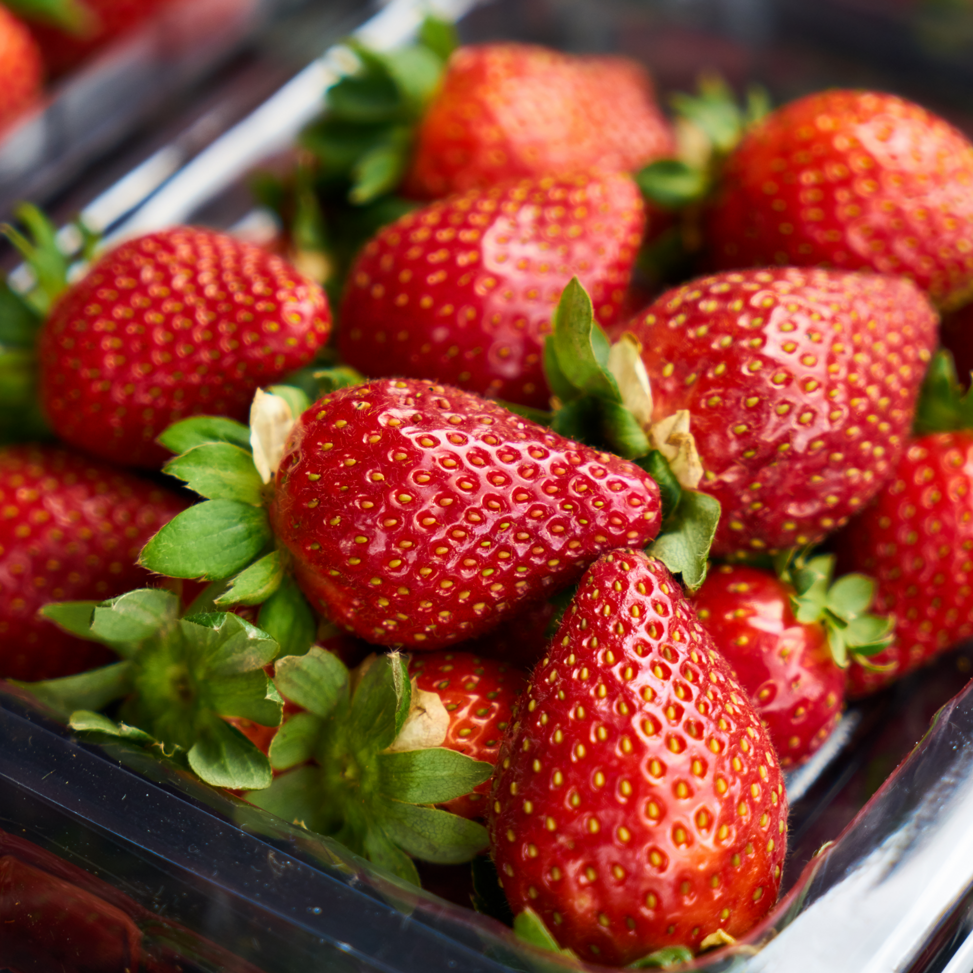 Strawberries - Mosa Estate