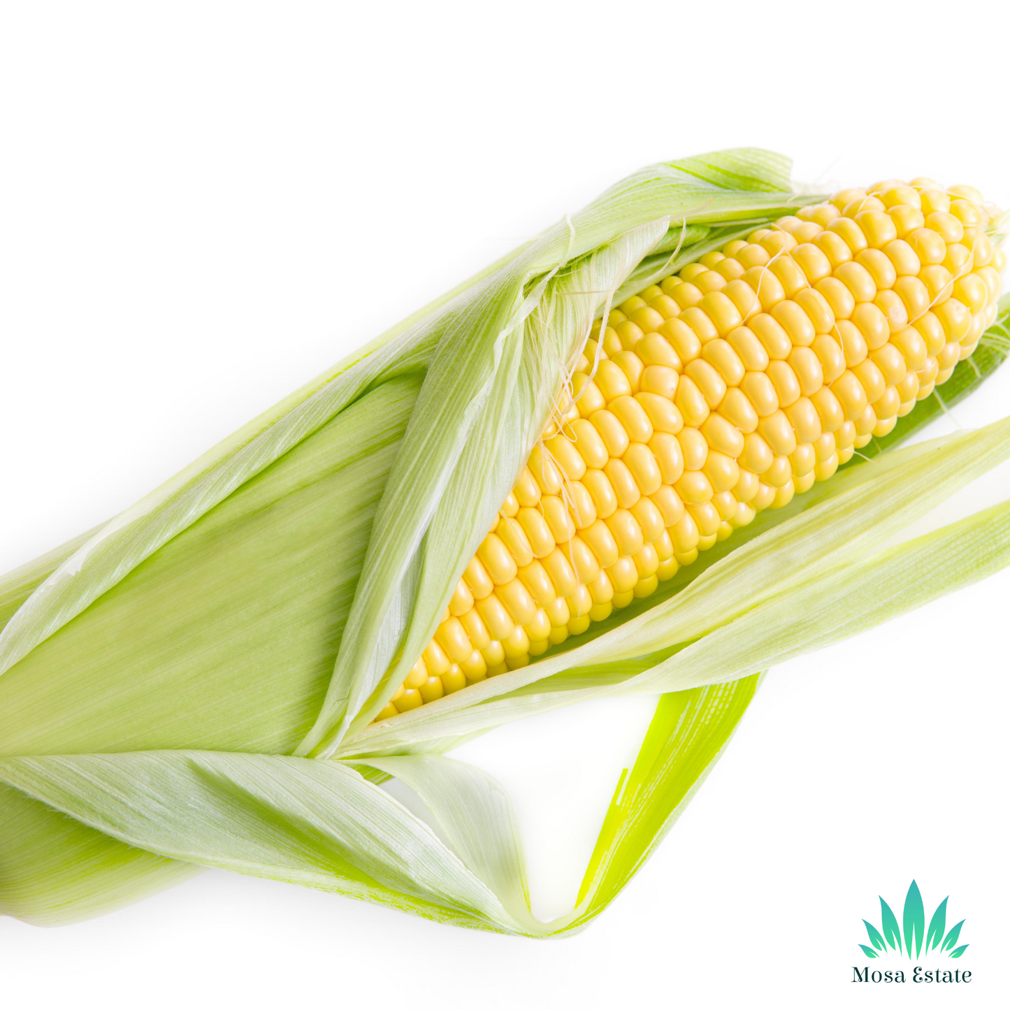 Sweet Corn - Mosa Estate