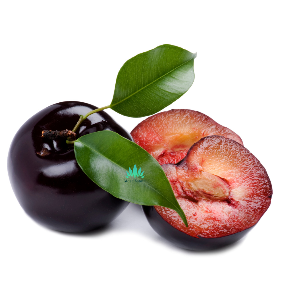 Plum - Mosa Estate