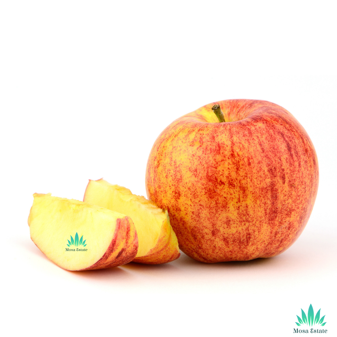 Gala Apples - Mosa Estate