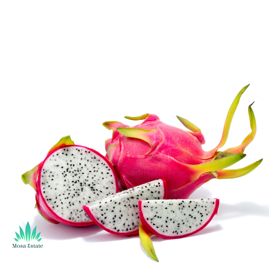 Dragon Fruit (White) - Mosa Estate