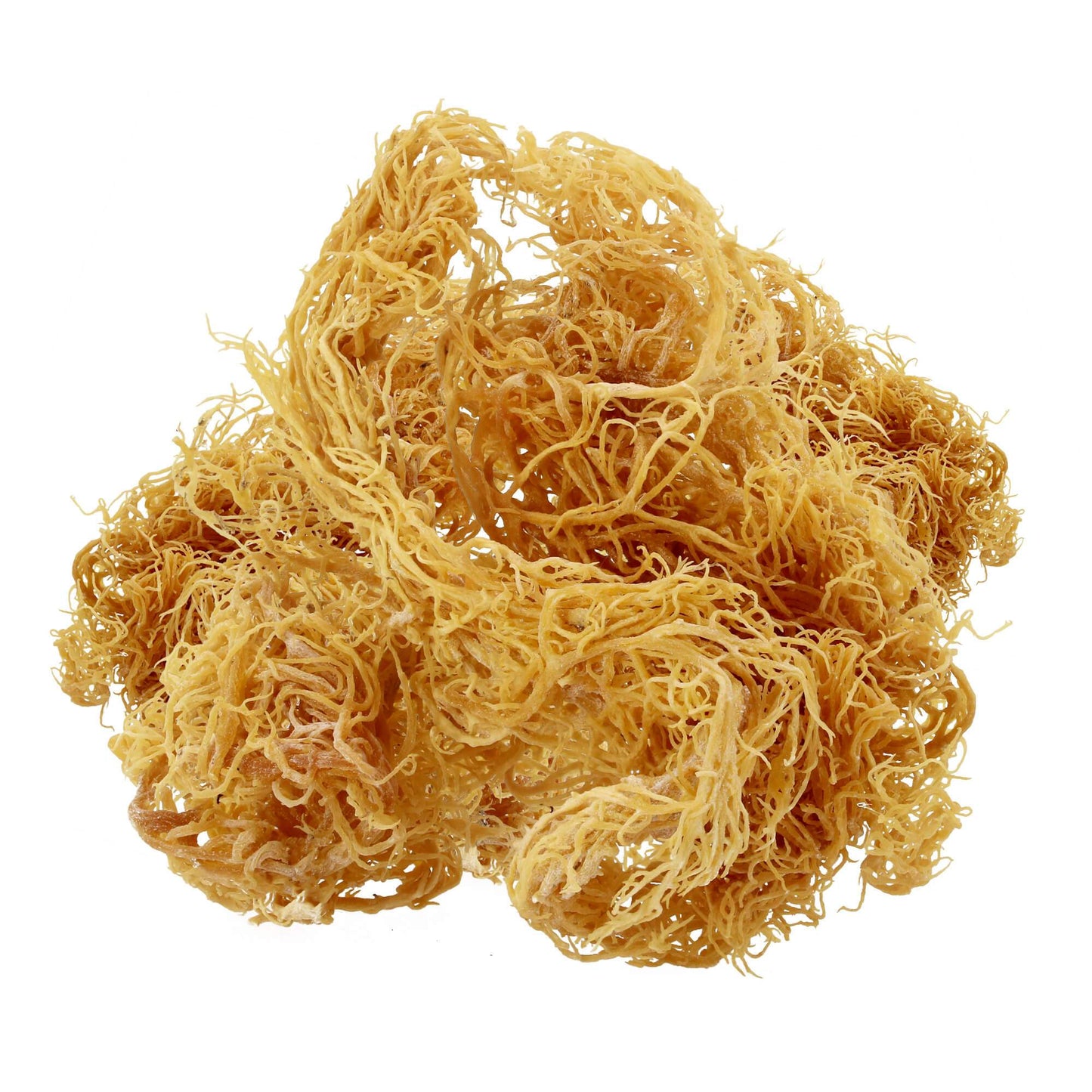 Dried Premium Jamaican Sea Moss - Mosa Estate