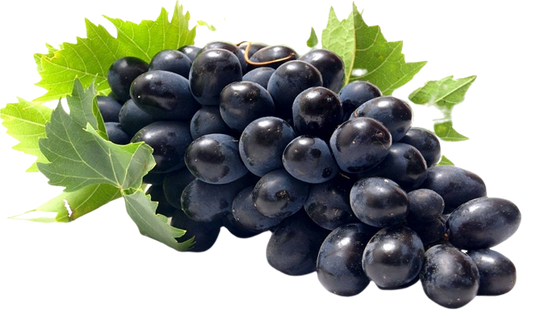 Black Grapes - Mosa Estate