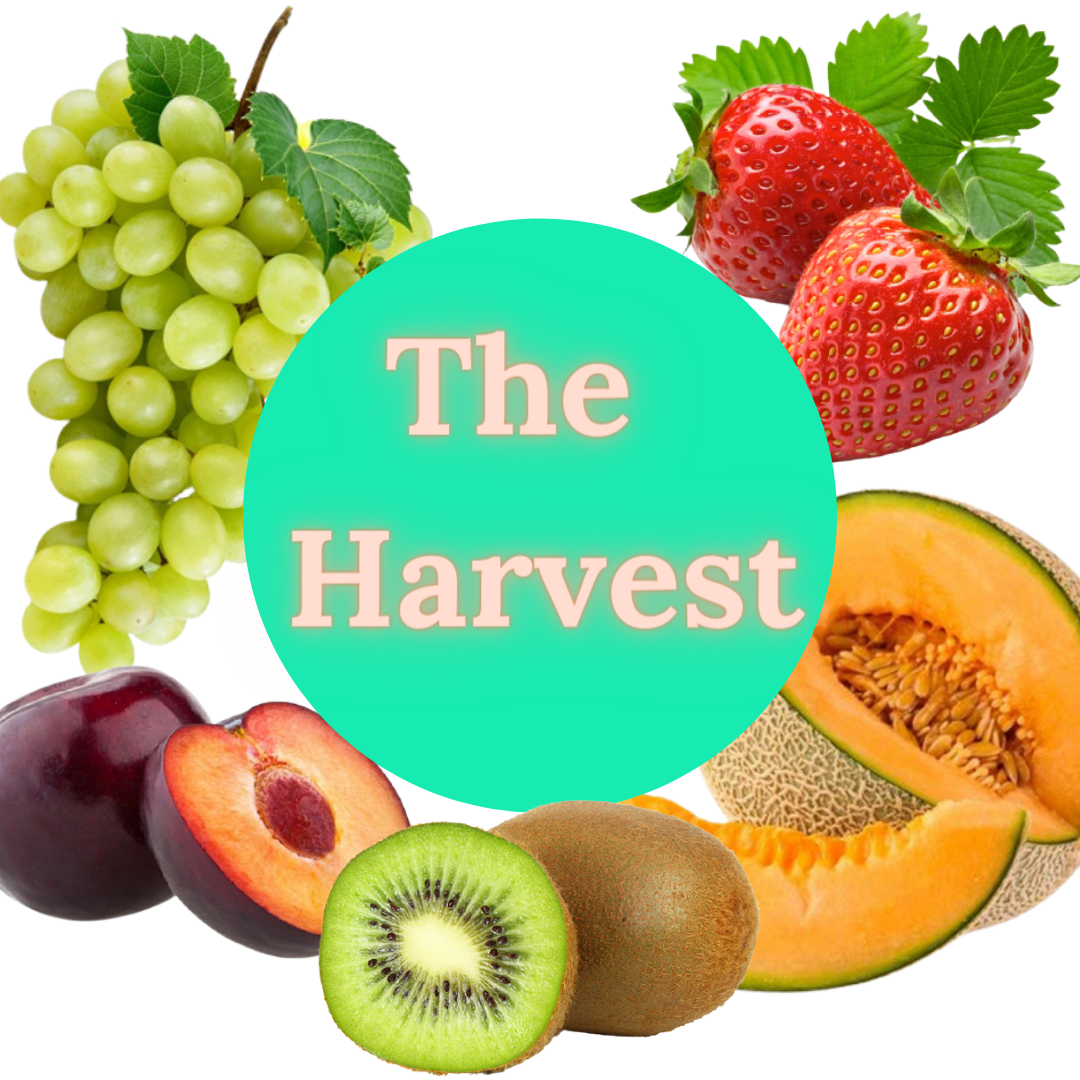 The Harvest - Mosa Estate