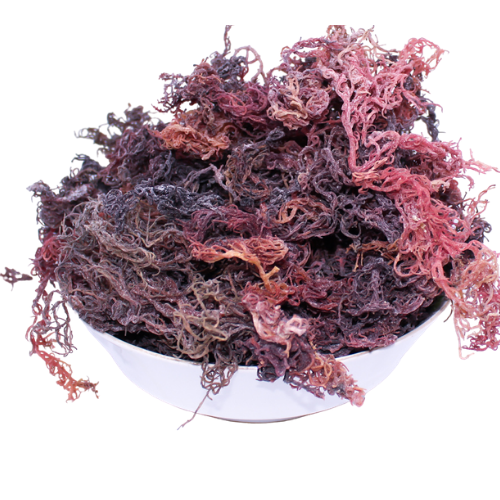 Dried Premium Jamaican Sea Moss - Mosa Estate