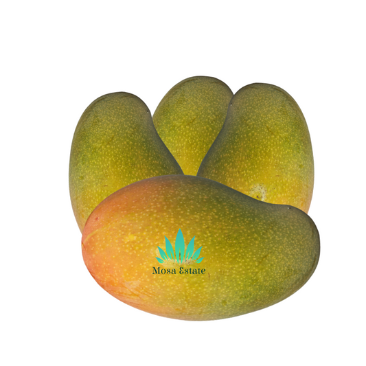 East Indian Mango - Mosa Estate