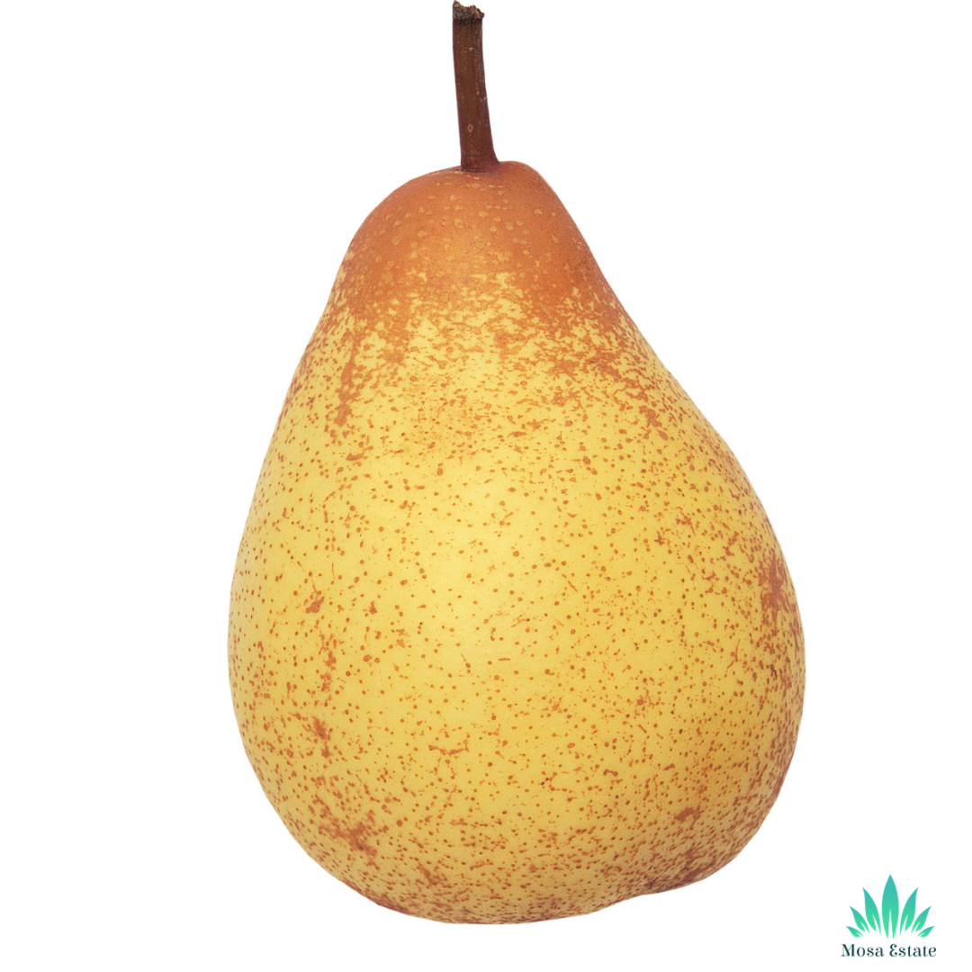 Pear  (Imported) - Mosa Estate