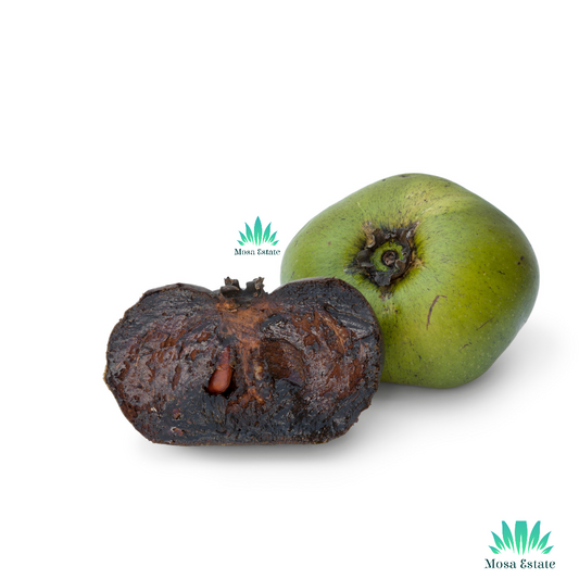 Black Sapote - Mosa Estate