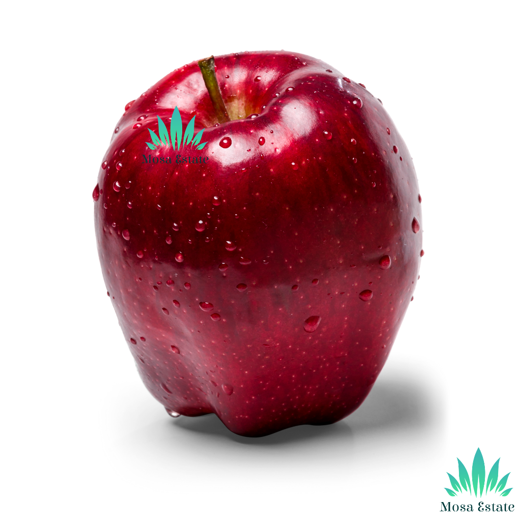 America apple hot sale