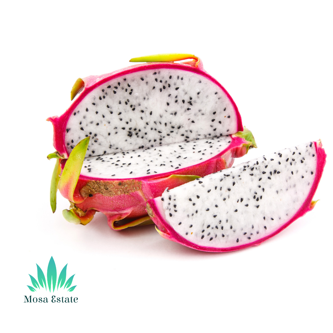 Dragon Fruit (White) - Mosa Estate