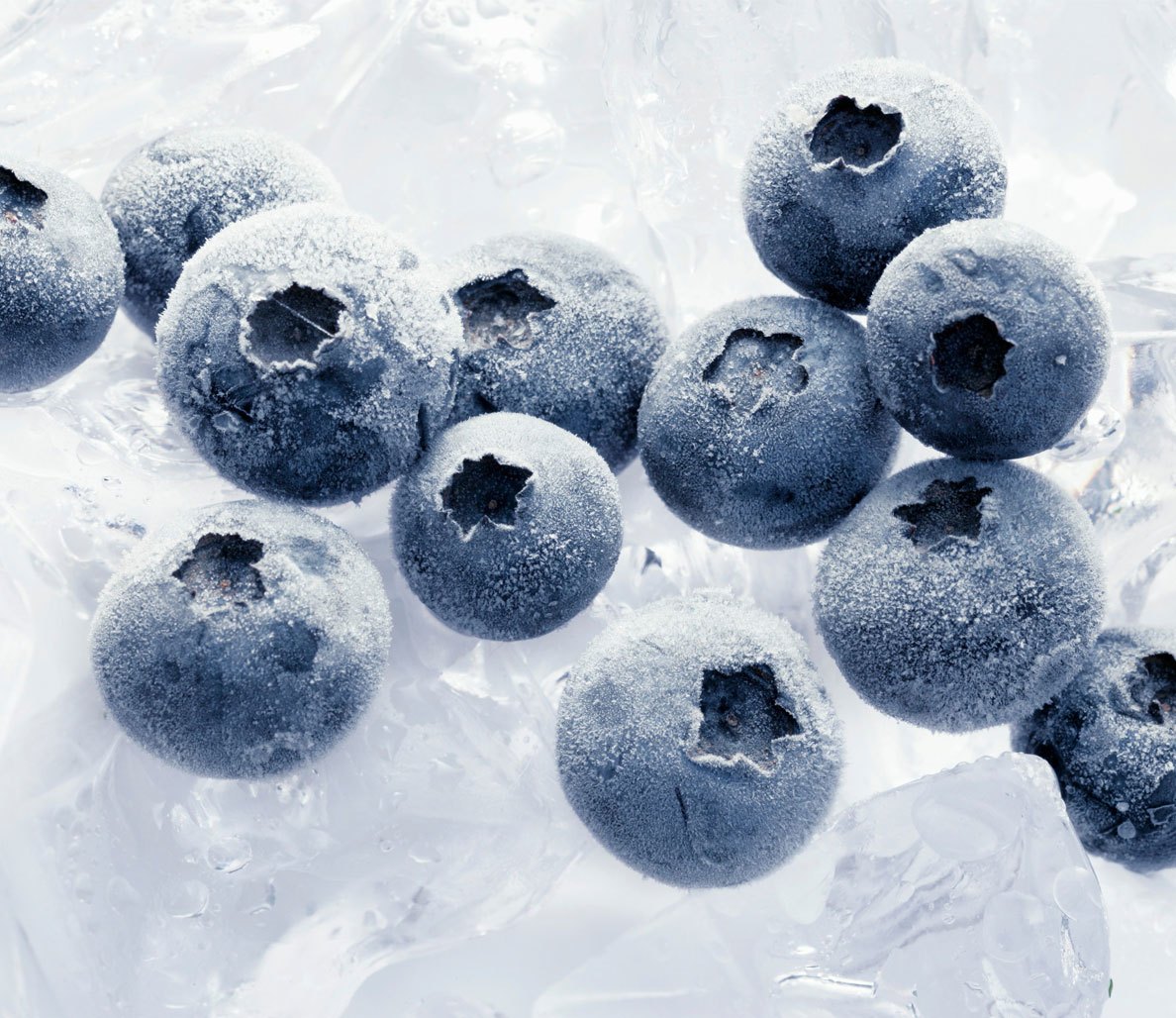 Frozen Blueberries - Mosa Estate