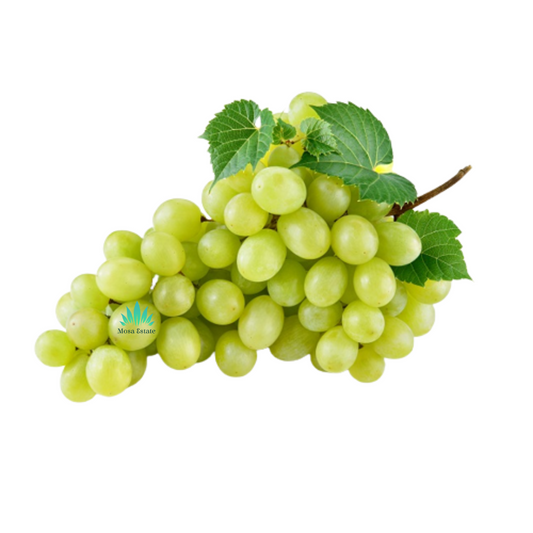Green Grapes (Seedless) - Mosa Estate