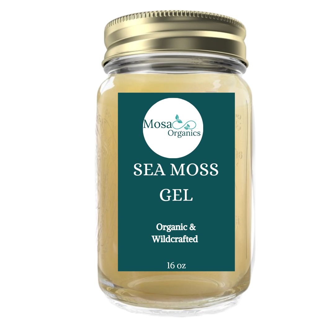 Premium Jamaican Wildcrafted Sea Moss Gel - Mosa Estate